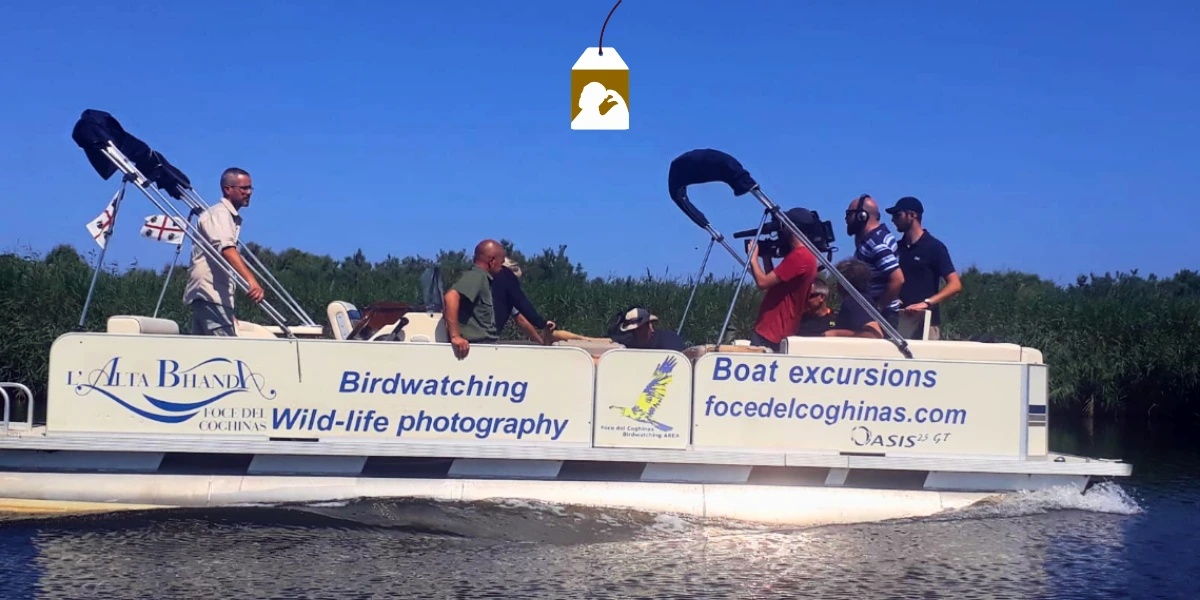 L'Alta Bhanda - Escursioni birdwatching foce del Coghinas.